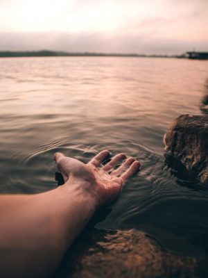 Mindfulness Mindfulness